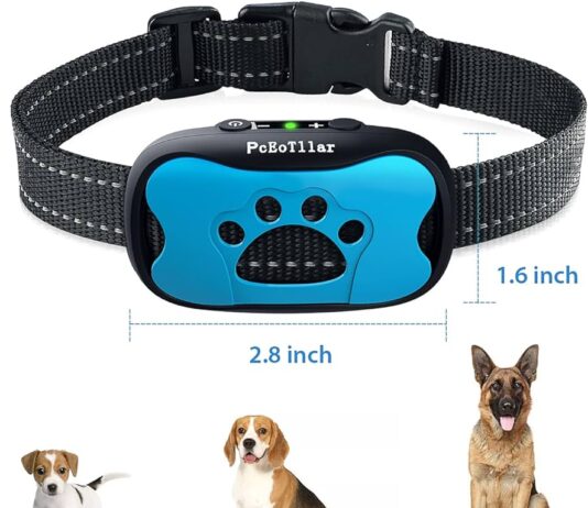 How Do I Choose The Right Bark Collar Sensitivity For My Dog? how do i choose the right bark collar sensitivity for my dog 4