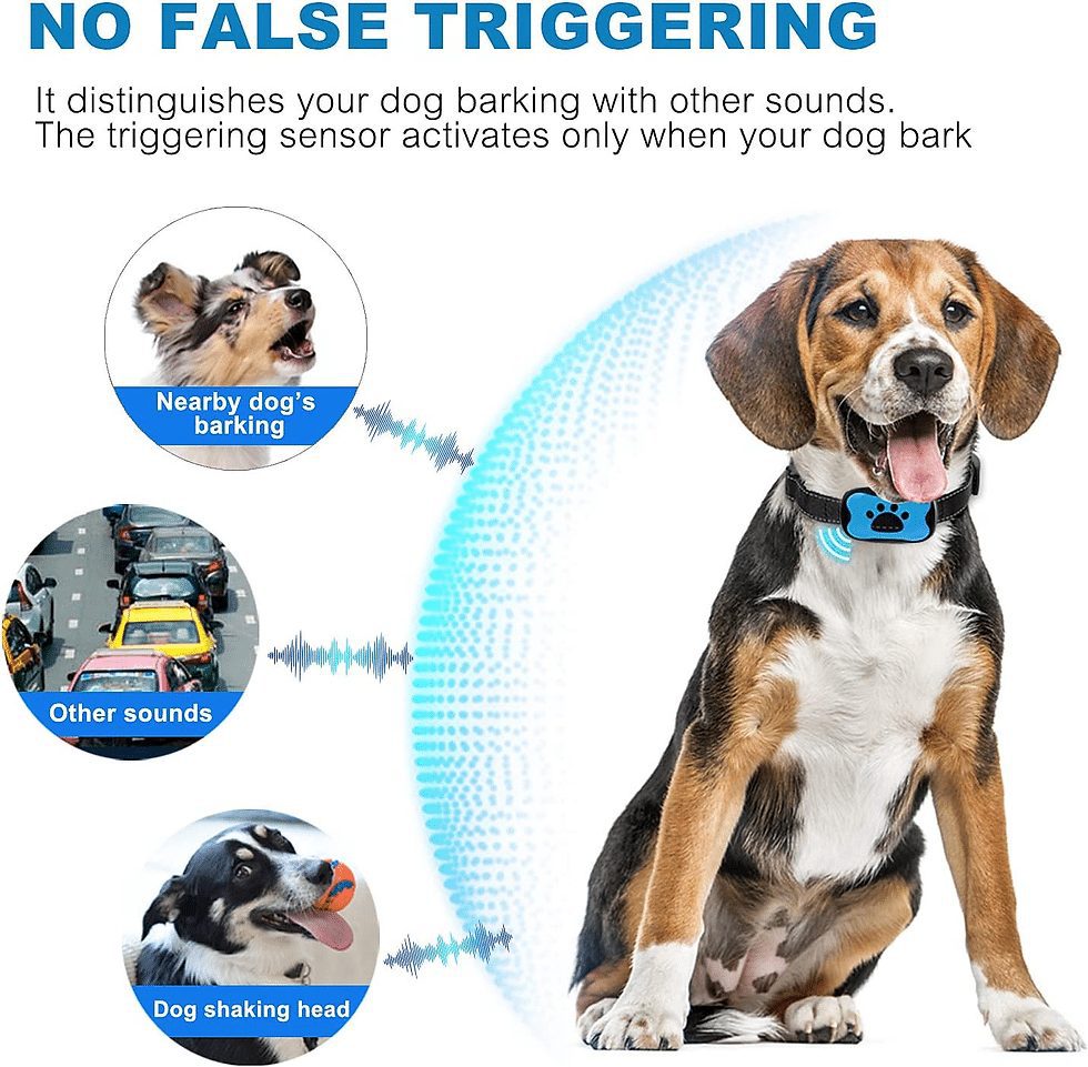How Do I Choose The Right Bark Collar Sensitivity For My Dog?