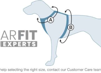 how do i choose the right size of dog harness for my dog 1