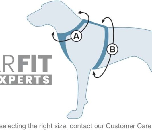how do i choose the right size of dog harness for my dog 1