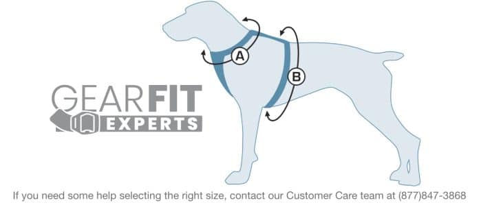 how do i choose the right size of dog harness for my dog 1