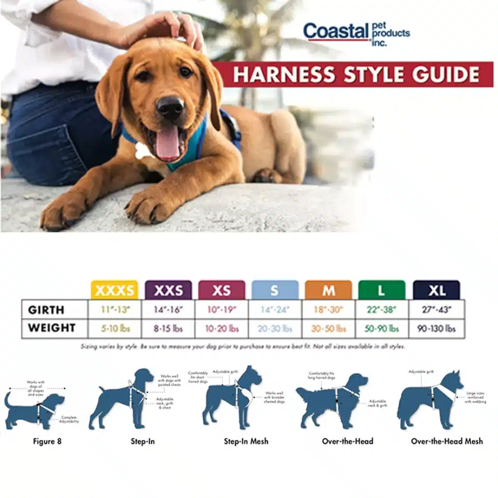 How Do I Choose The Right Size Of Dog Harness For My Dog?