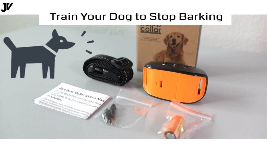 How Do I Introduce My Dog To A Bark Collar?