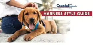 how do i pick the right dog harness for my dogs breed 1
