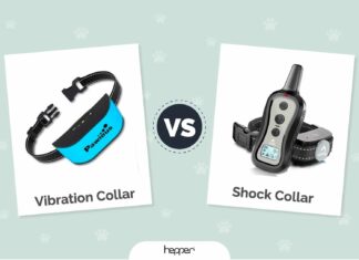 is a training collar the same as a shock collar 4