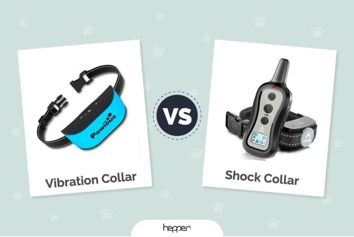 is a training collar the same as a shock collar 4