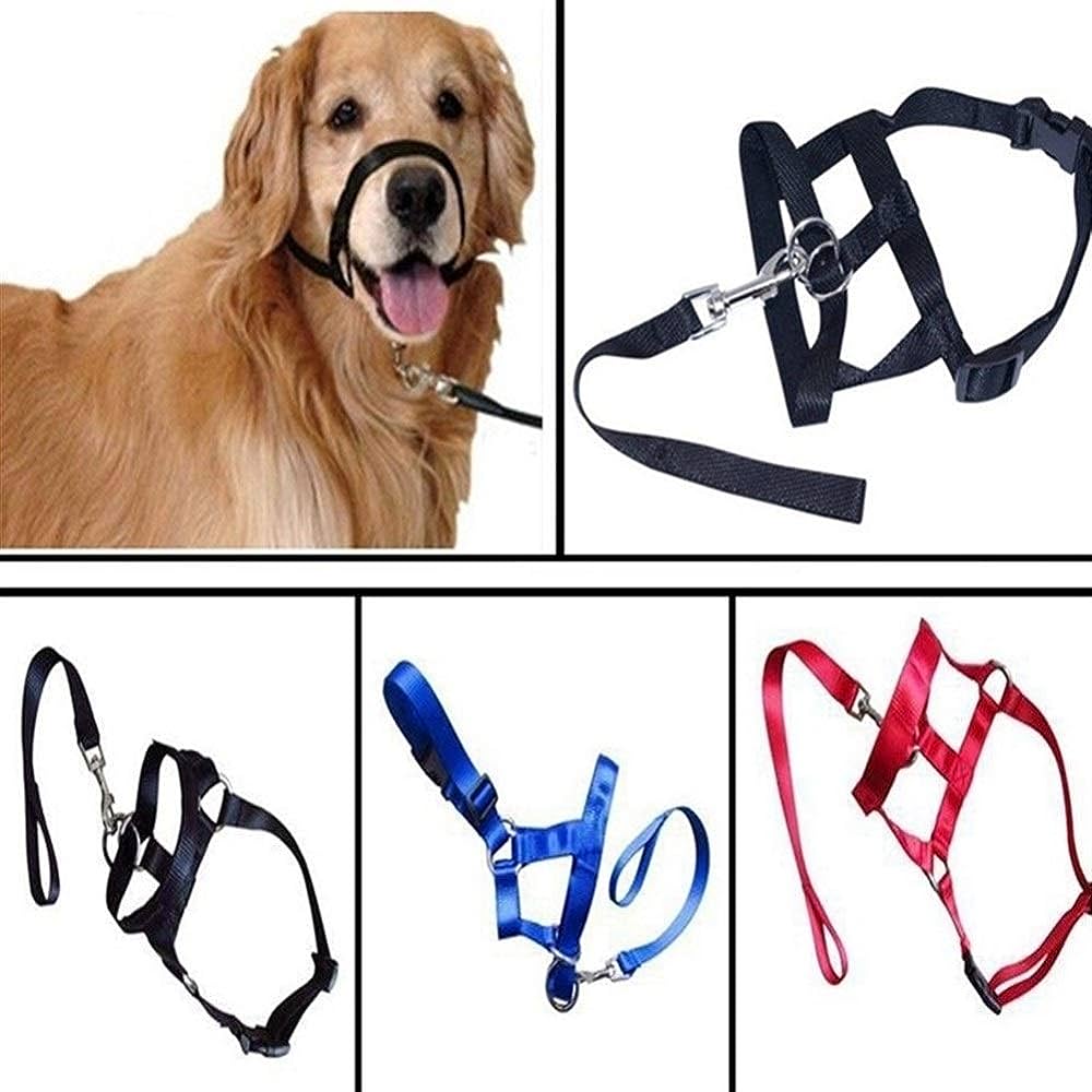 Is There A Device To Stop A Dog From Pulling On A Leash?