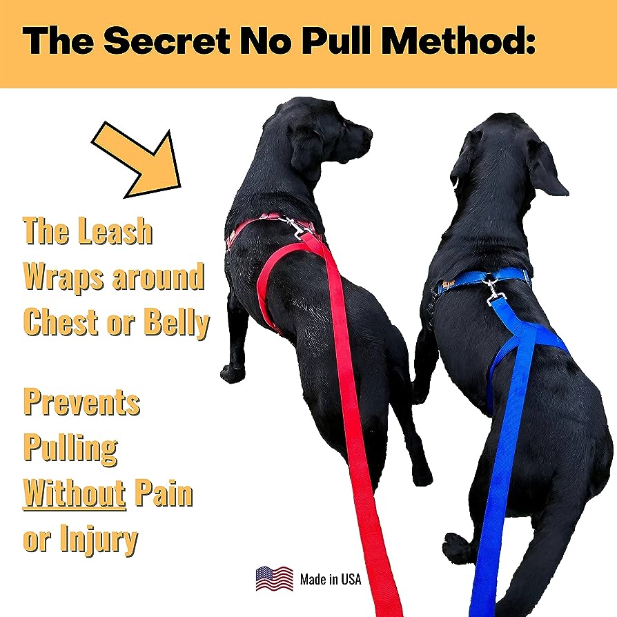 Is There A Device To Stop A Dog From Pulling On A Leash?
