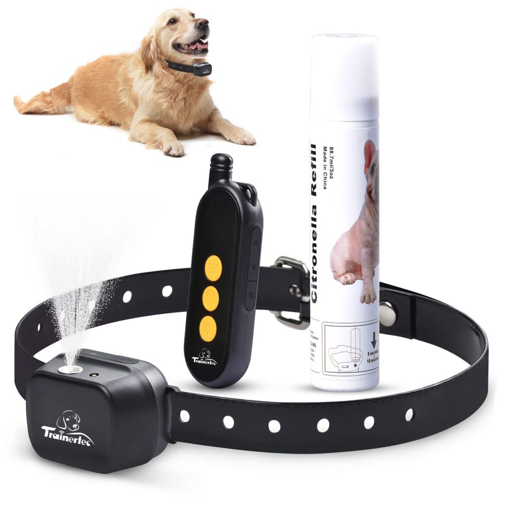 Is There A Training Collar That Doesnt Shock?