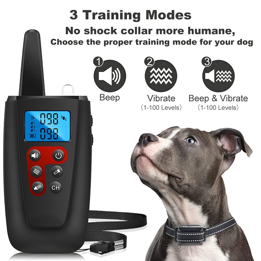 Is There A Training Collar That Doesnt Shock?