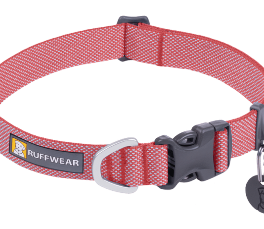 what are the cons of dog collars 2