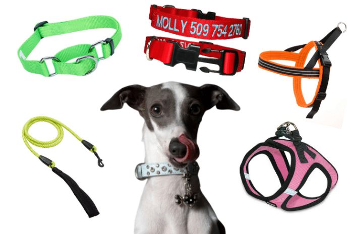 what are the different types of dog training collars 1