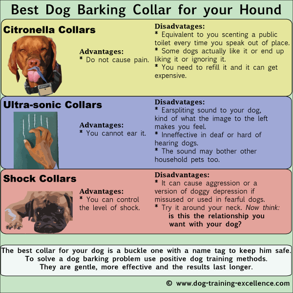 What Are The Pros And Cons Of Using A Bark Collar For My Dog?
