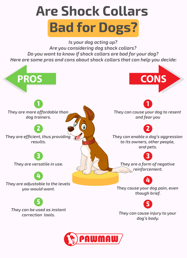 What Are The Pros And Cons Of Using A Bark Collar For My Dog?