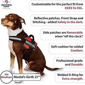 what features should i look for in a dog vest 5