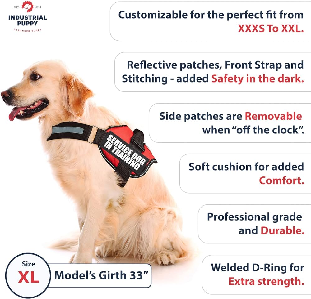 What Features Should I Look For In A Dog Vest?