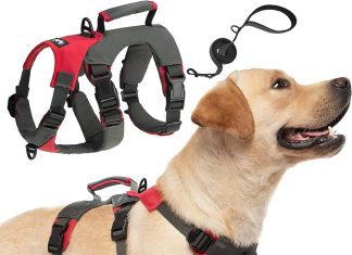 what is the best dog harness for large dogs 3