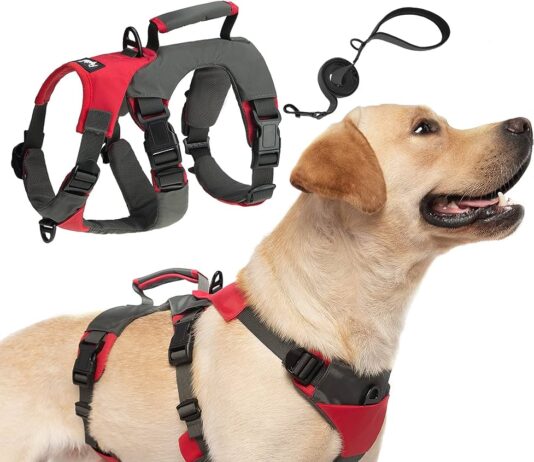 what is the best dog harness for large dogs 3