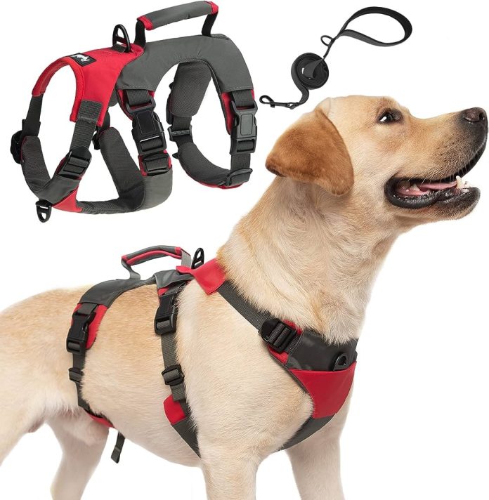 what is the best dog harness for large dogs 3
