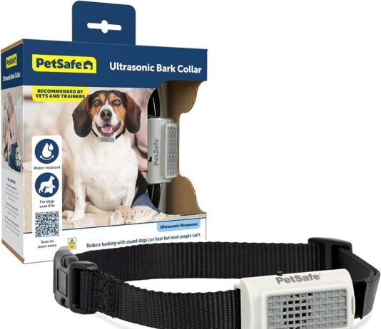 what is the best dog training collar with bark control 5
