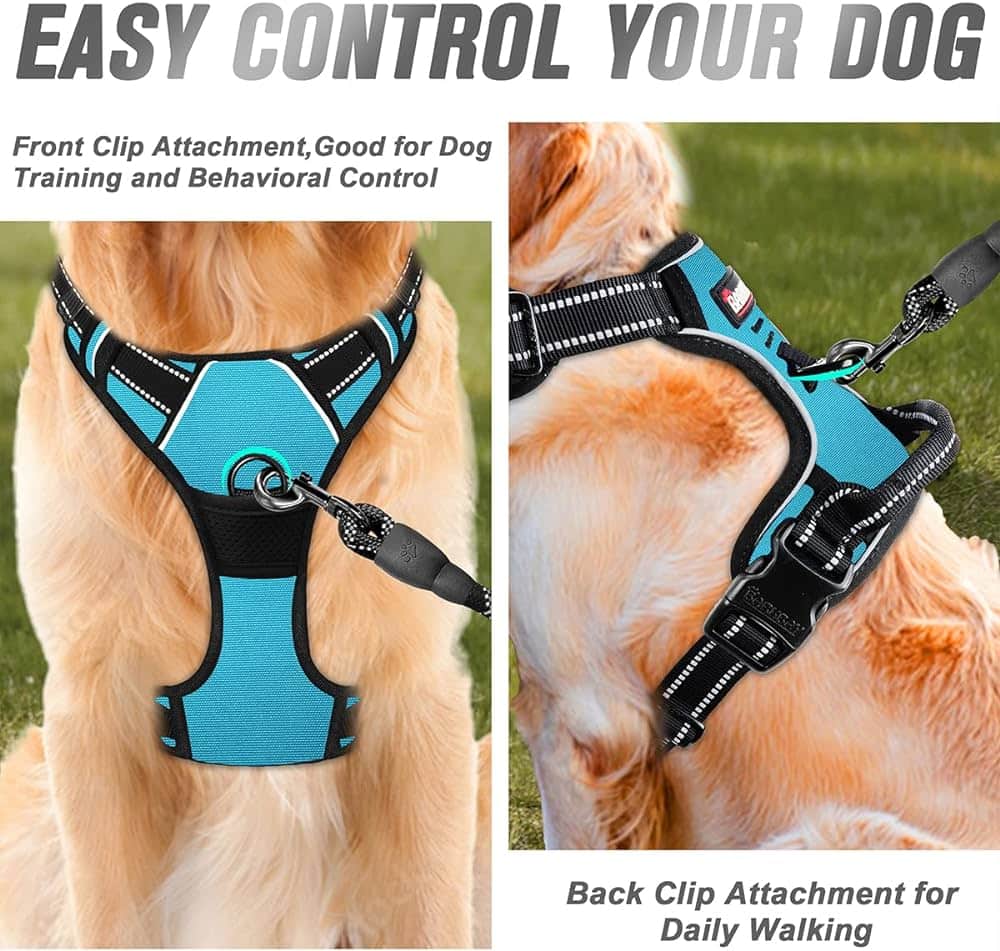 What Is The Difference Between A Front Clip And Back Clip Dog Harness?