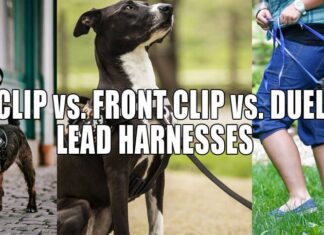 what is the difference between a front clip and back clip dog harness 5