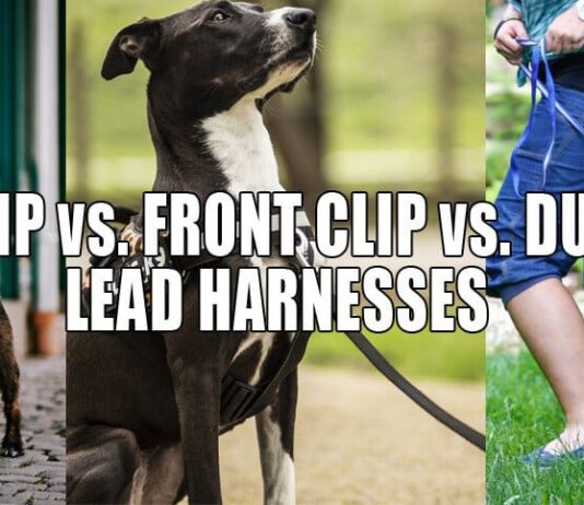 what is the difference between a front clip and back clip dog harness 5