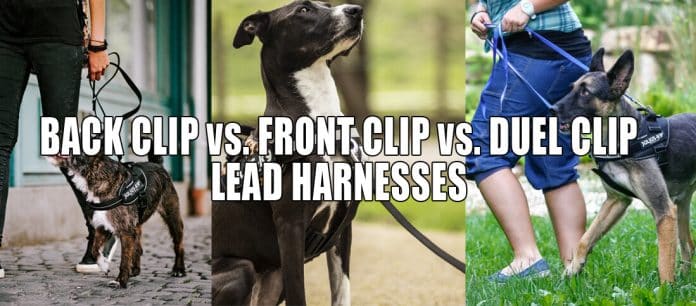 what is the difference between a front clip and back clip dog harness 5