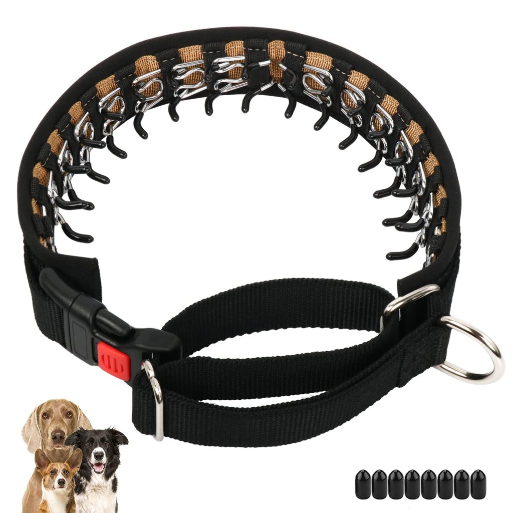 What Kind Of Collar For Training Dog Not To Pull?