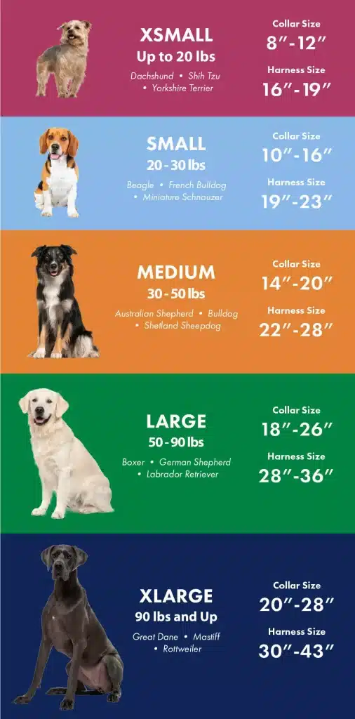 What Size Dog Vest Should I Get For My Dog?