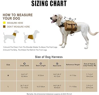 What Size Dog Vest Should I Get For My Dog?