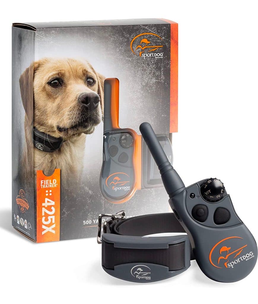 What Type Of Collar Is Best For Dog Training?