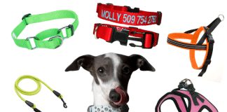 Are There Different Types Of Dog Training Collars Available