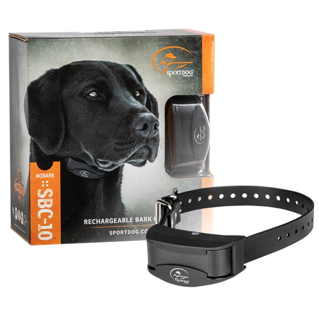 Are Bark Collars Safe To Use Overnight?