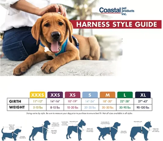 how do i choose the right size dog harness