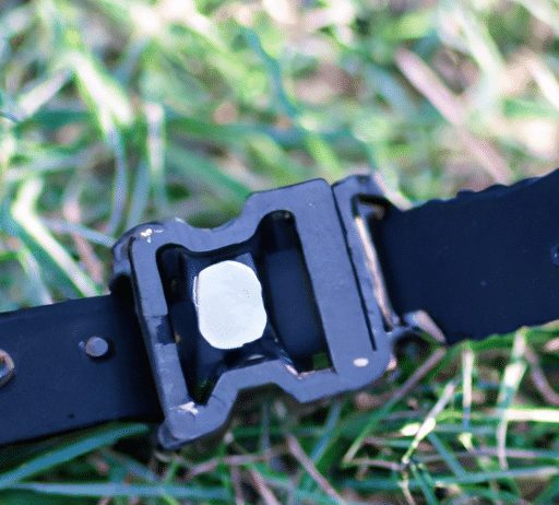 should i use a harness or a collar for walking my dog 2