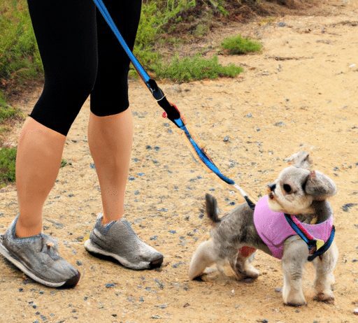 what are the different types of dog harnesses