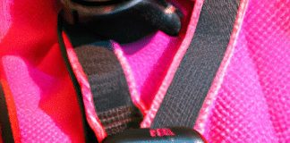 what dog harness works best for training