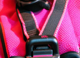 what dog harness works best for training