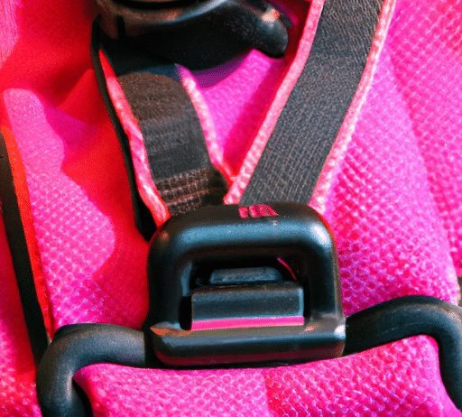 what dog harness works best for training