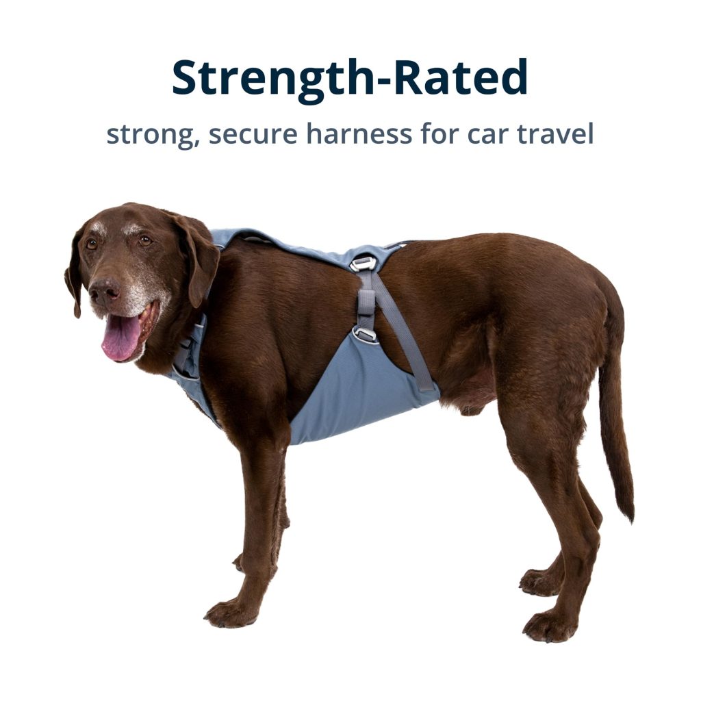 Whats The Best Dog Harness For Car Travel?