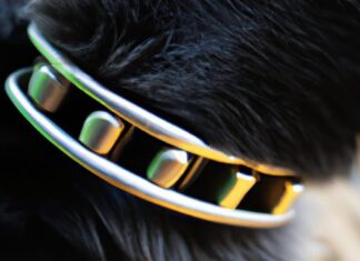 how do i choose the correct stimulation level for a bark collar