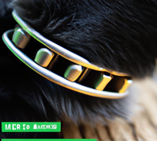 how do i choose the correct stimulation level for a bark collar