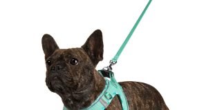whats the best dog harness for large breeds like pitbulls