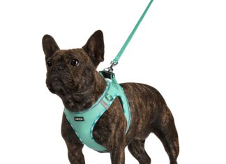 whats the best dog harness for large breeds like pitbulls