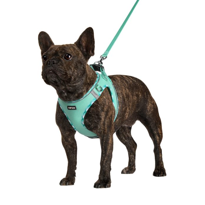 whats the best dog harness for large breeds like pitbulls