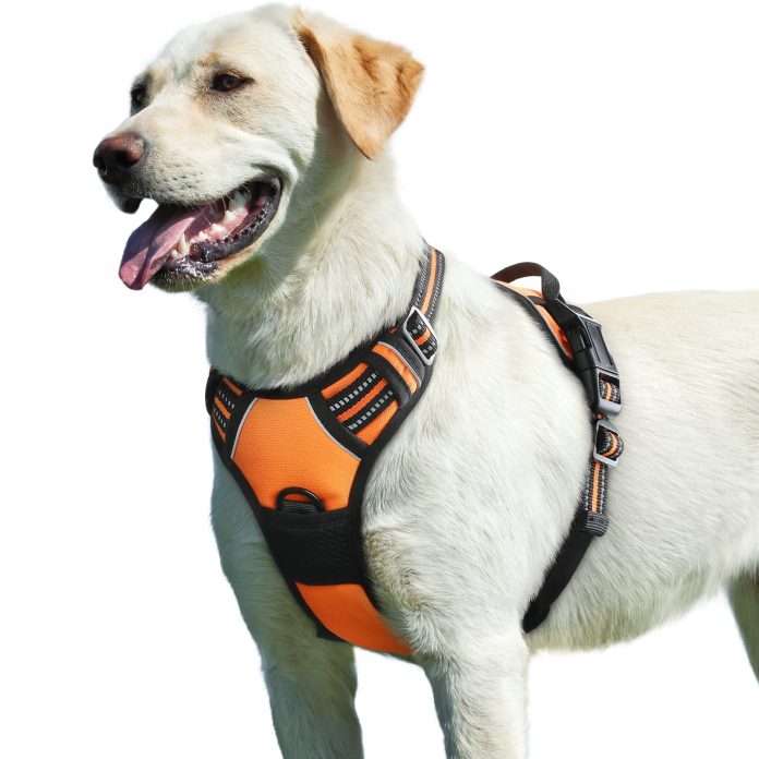 can i make my own no pull dog harness at home