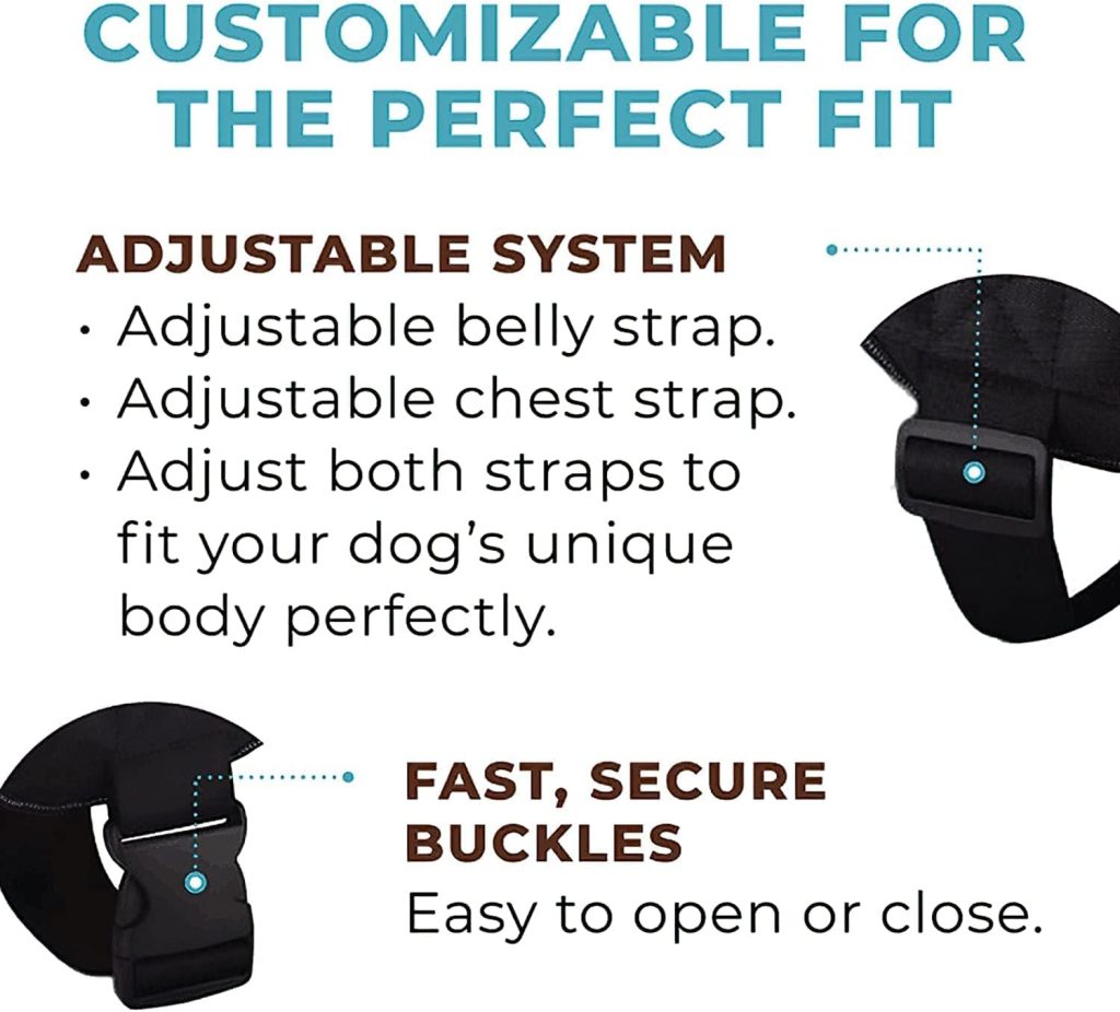 Joyride Harness for Small, Medium, Large Dogs, No-Pull Pet Harness with 3 Side Rings for Leash Placement, Adjustable Soft-Padded Vest for Training, Walking, Running, No-Choke Easy On-Off Technology