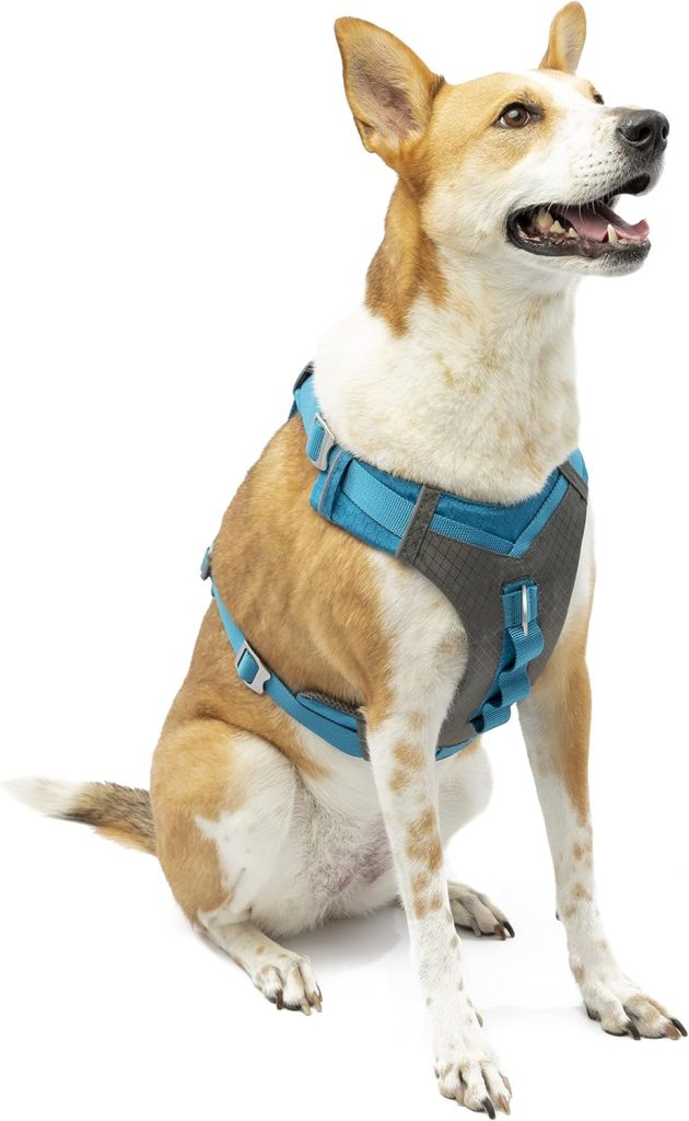 Kurgo K01936 Dog Harness for Large, Medium,  Small Active Dogs, Pet Hiking Harness for Running  Walking, Everyday Harnesses for Pets, Reflective, Journey Air, Blue/Grey 2018, X-Large