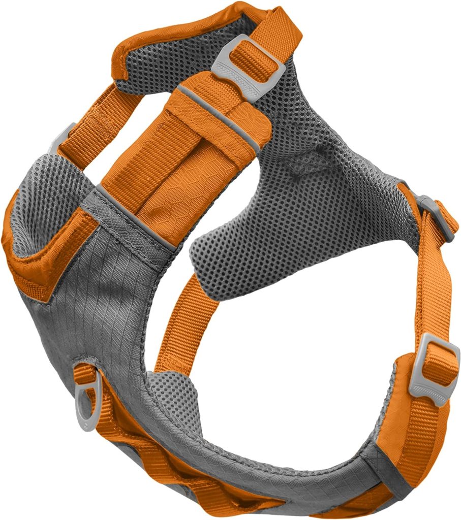 Kurgo K01936 Dog Harness for Large, Medium,  Small Active Dogs, Pet Hiking Harness for Running  Walking, Everyday Harnesses for Pets, Reflective, Journey Air, Blue/Grey 2018, X-Large